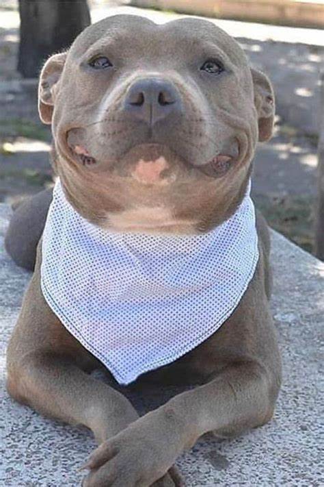 A sweet little pit!